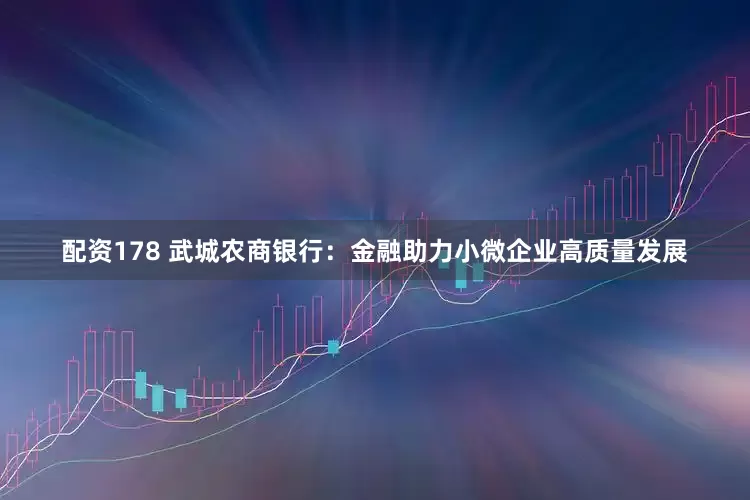 配资178 武城农商银行：金融助力小微企业高质量发展